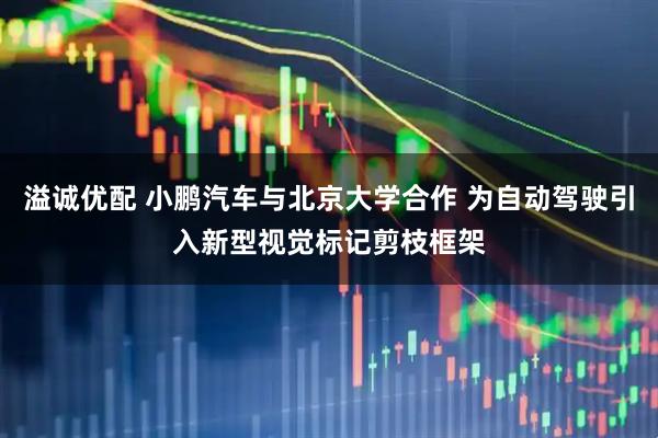溢诚优配 小鹏汽车与北京大学合作 为自动驾驶引入新型视觉标记剪枝框架
